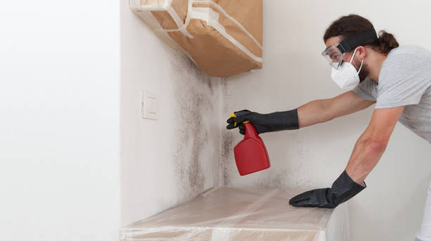 Professional Mold Inspection And Testing technician working in Highland, IL