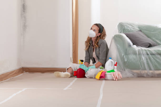 Reliable Mold Inspection And Testing contractor in Highland, IL by 24 Hour Mold Removal